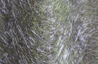 Misselfore fibreglass roof work